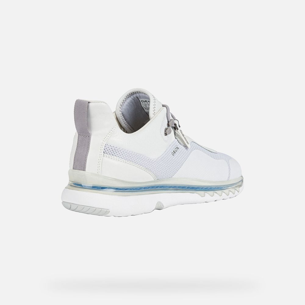 Geox Erkek Spor Ayakkabı Beyaz - Levita - JRY-965071